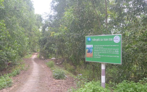 Сохранение и развитие популяции сарусового журавля в национальном парке «Чам-чим» - ảnh 1