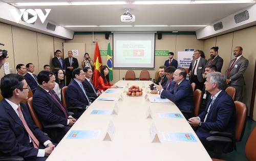 Премьер-министр Фам Минь Тинь провел встречу с Группой парламентариев вьетнамско-бразильской дружбы - ảnh 1