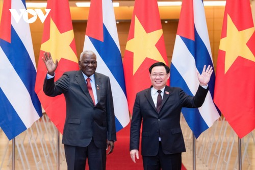 Дальнейшее укрепление традиционных отношений особой солидарности,  дружбы и сотрудничества между Вьетнамом и Кубой - ảnh 1