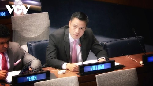 Вьетнам продвигает меры укрепления доверия и прозрачности в решении вопросов безопасности и разоружения - ảnh 1