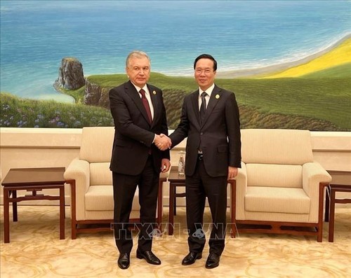 Президент Во Ван Тхыонг провел встречу с президентом Узбекистана - ảnh 1