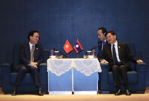 Усилия по развитию отношений всеобъемлющего сотрудничества между Вьетнамом и Лаосом - ảnh 1