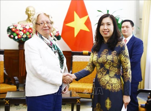 Вьетнам продолжит вносить больший вклад в работу ООН - ảnh 1