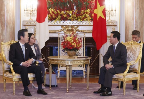 Президент Во Ван Тхыонг принял лидеров партий и группы парламентариев, близких к Вьетнаму - ảnh 2