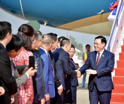 Председатель Нацсобрания Выонг Динь Хюэ прибыл в Лаос для участия в саммите Парламентов CLV - ảnh 1