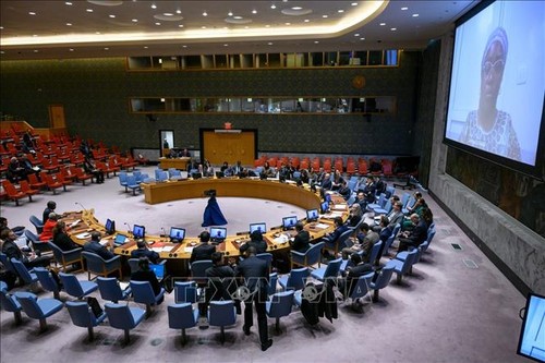 Палестино-израильский конфликт: Совбез ООН продолжает переносить голосование по резолюции - ảnh 1