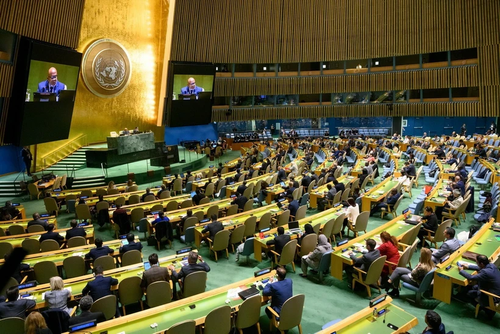 Избран новый председатель Совета ООН по правам человека  - ảnh 1