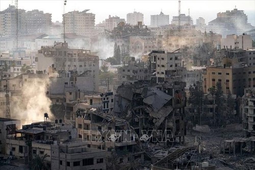 Конфликт ХАМАС-Израиль: ЕС призывает к сотрудничеству с государствами Ближнего Востока для прекращения боевых действий в секторе Газа - ảnh 1