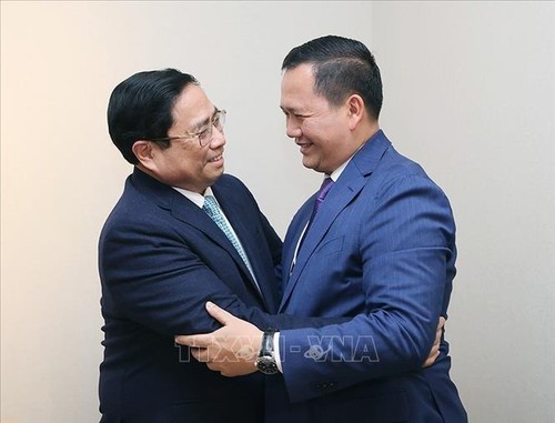 Премьер-министр Фам Минь Тинь провел встречи с руководителями стран и международных организаций в Давосе - ảnh 1