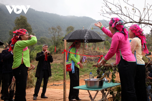 Церемония встречи невесты народности  Зяй в провинции Лайчау - ảnh 12