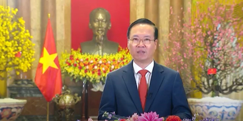 Новогоднее обращение Президента Вьетнама Во Ван Тхыонга - 2024 г. - ảnh 1