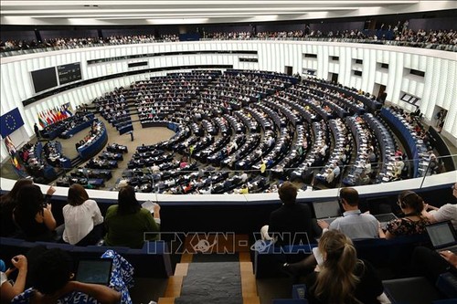 Европейский парламент поддерживает выход ЕС из Договора к Энергетической Хартии. - ảnh 1