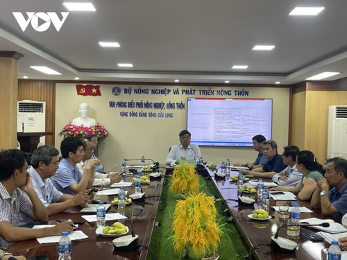 Реализация пилотной модели Проекта по выращиванию высококачественного риса с низким уровнем выбросов на 1 миллионе гектаров в 5 местностях Вьетнама - ảnh 1