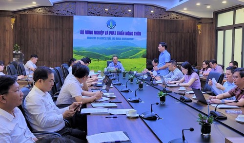 Вьетнам прилагает усилия для выполнения рекомендаций ЕК по борьбе с ННН-промыслом - ảnh 1