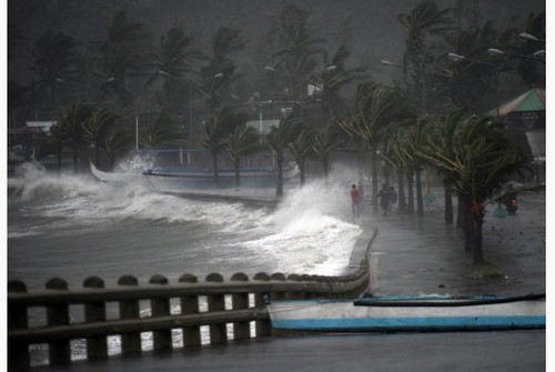 Hagupit sweeps through Philippines, killing two - ảnh 1