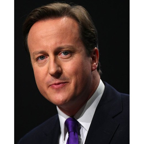 UK Prime Minister David Cameron to visit Vietnam - ảnh 1