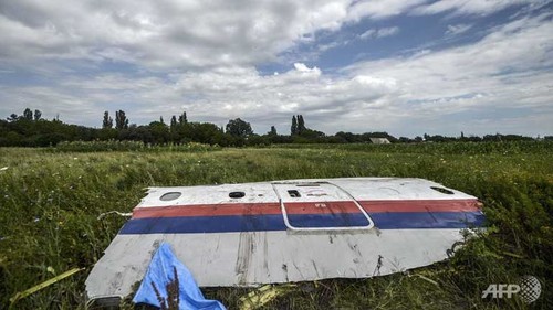 MH17 probe finds 'probable' BUK missile pieces at crash site - ảnh 1