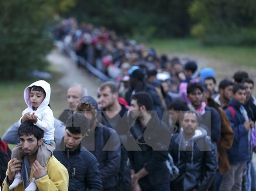 Migrant issue: Belgium to receive the first 20 Syrian refugees from Greece - ảnh 1