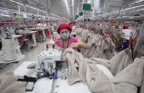 Foundation for Vietnam-Mexico garment cooperation - ảnh 1