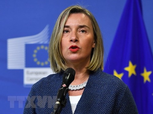 EU to enhance military mobilization - ảnh 1