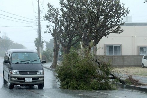 Typhoon Trami hits Japan, killing 2 - ảnh 1