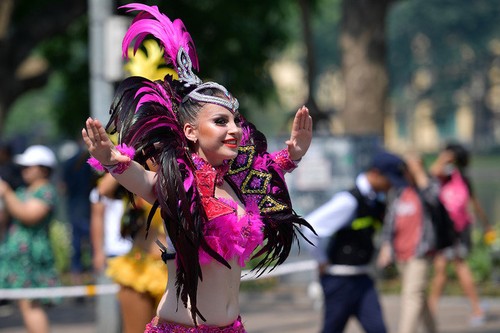 Carnival stirs up pedestrian street in Hanoi - ảnh 8