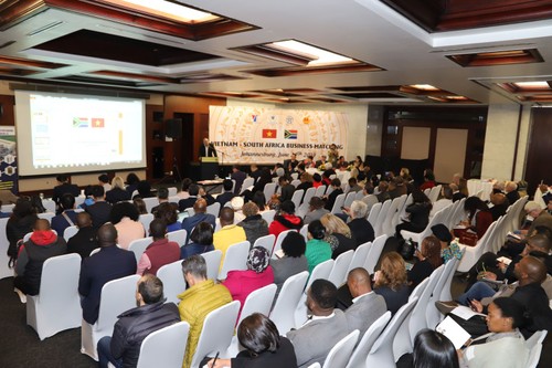 Vietnamese enterprises seek export opportunities in South Africa - ảnh 1