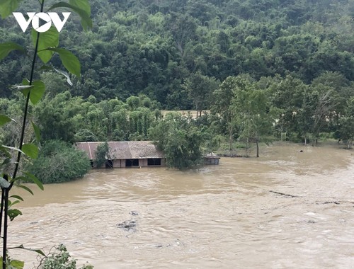 Dak Lak, Dak Nong provinces endure serious flooding despite halt in rain - ảnh 11
