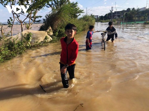 Dak Lak, Dak Nong provinces endure serious flooding despite halt in rain - ảnh 13