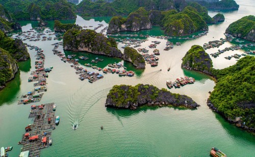 Local wonder receives World Heritage Site recognition twice - ảnh 2