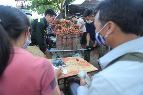 Exploring the lychee capital of Vietnam in harvest season - ảnh 8