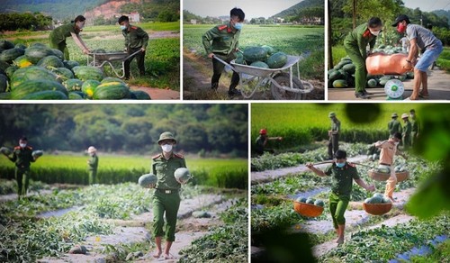 Kết nối – tiêu thụ nông sản Việt trong đại dịch COVID-19 - ảnh 2