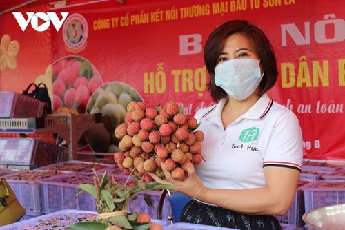 Kết nối – tiêu thụ nông sản Việt trong đại dịch COVID-19 - ảnh 5
