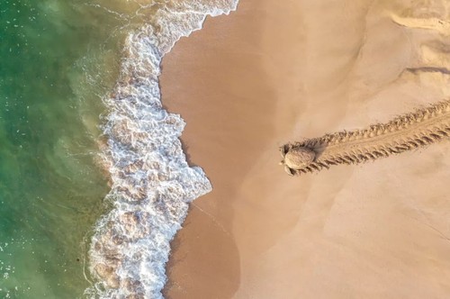 Outstanding photos of Drone Photo Awards 2021 - ảnh 4