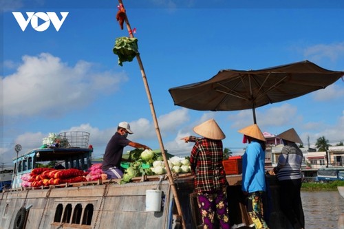 Can Tho floating market busy again during new normal period - ảnh 2