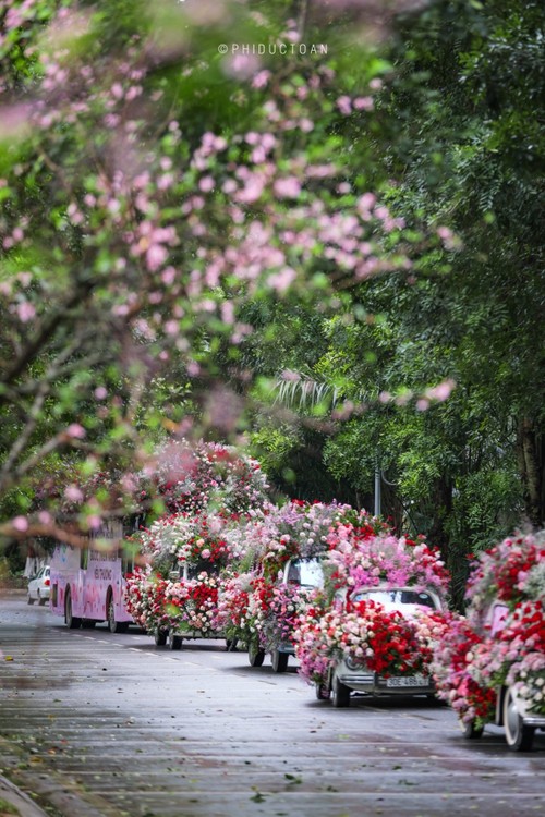 Valentine 2022: Màn tỏ tình ấn tượng với 99.999 bông hồng vừa diễn ra tại Hà Nội - ảnh 3