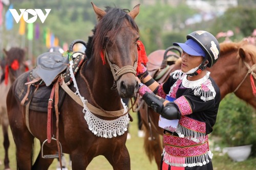 Hấp dẫn giải đua “Vó ngựa trên mây” giữa thung lũng hoa hồng lớn nhất Việt Nam - ảnh 10