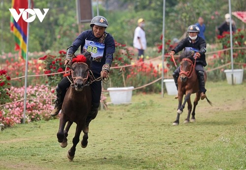 Hấp dẫn giải đua “Vó ngựa trên mây” giữa thung lũng hoa hồng lớn nhất Việt Nam - ảnh 4