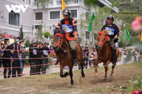 Hấp dẫn giải đua “Vó ngựa trên mây” giữa thung lũng hoa hồng lớn nhất Việt Nam - ảnh 5