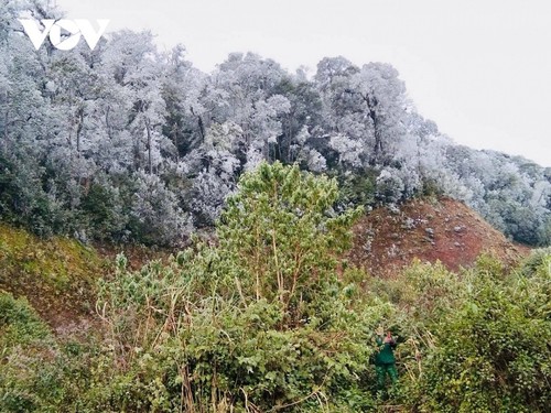 Băng tuyết phủ trắng vùng núi Việt Nam - ảnh 10