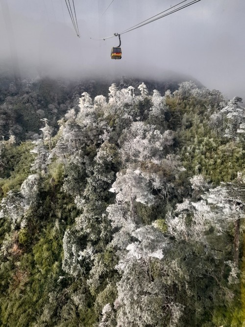 Băng tuyết phủ trắng vùng núi Việt Nam - ảnh 7