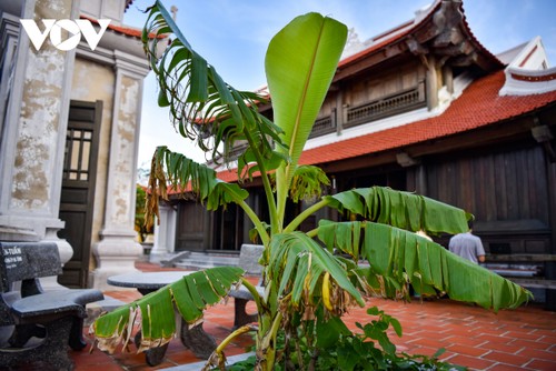 Ghé thăm ngôi chùa thanh bình trên đảo Sinh Tồn Đông - ảnh 13