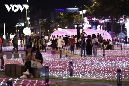 TP. Hồ Chí Minh trang trí đèn nghệ thuật kỷ niệm 50 năm quan hệ ngoại giao Việt Nam – Nhật Bản - ảnh 8