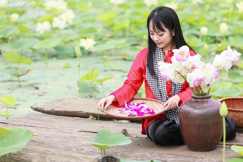 Ngắm cánh đồng sen đẹp hút hồn tại khuôn viên Học viện Nông nghiệp Việt Nam - ảnh 10