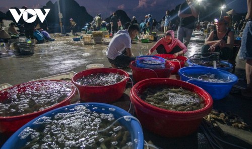 Chợ cá hừng đông bên vịnh Bái Tử Long - ảnh 3