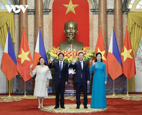 Toàn cảnh lễ đón và hội đàm giữa Chủ tịch nước Việt Nam và Tổng thống Philippines - ảnh 6