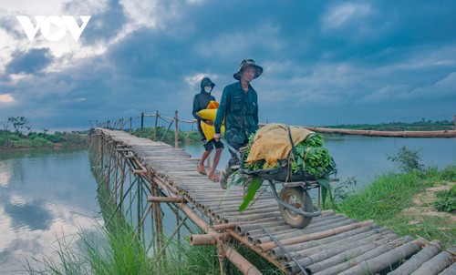 Nét đẹp bình yên bên cây cầu tre thôn Cẩm Đồng - ảnh 3