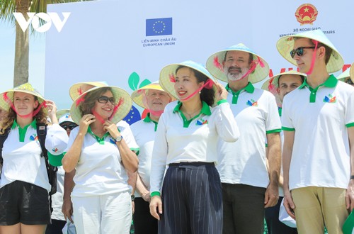 Đại sứ các nước cùng dọn rác trên bãi biển Hạ Long trong Ngày Việt Nam – EU - ảnh 4