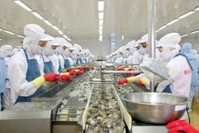 Exporters reject US anti-subsidy duties on shrimp - ảnh 1