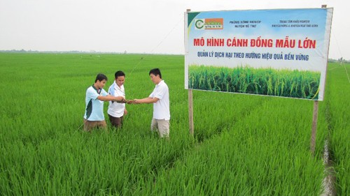 FAO acknowledges Vietnam’s  poverty reduction achievements  - ảnh 1